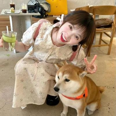 如懿传